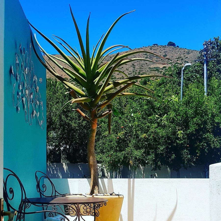 קייפטאון Avatara Bed & Breakfast מראה חיצוני תמונה